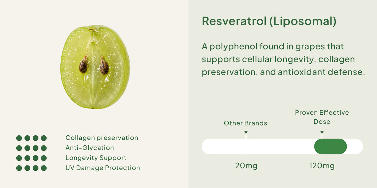 16 Super Skin Ingredients