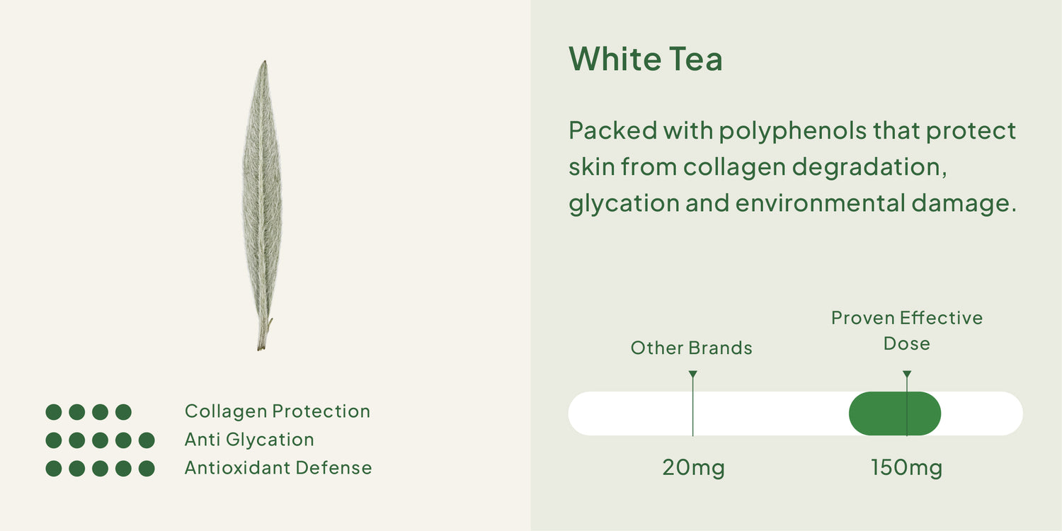 16 Super Skin Ingredients