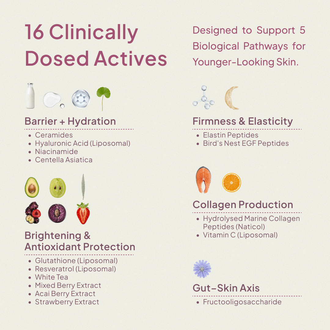 Reverse Skin Aging™: Next Gen Collagen + Antioxidants - Chaglo