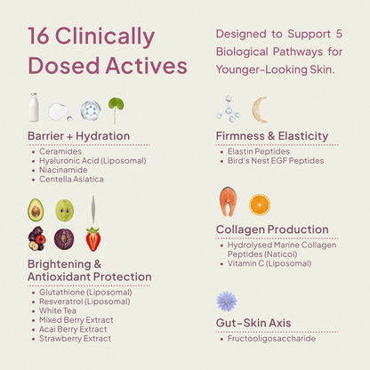 Reverse Skin Aging™: Next Gen Collagen + Antioxidants - Chaglo